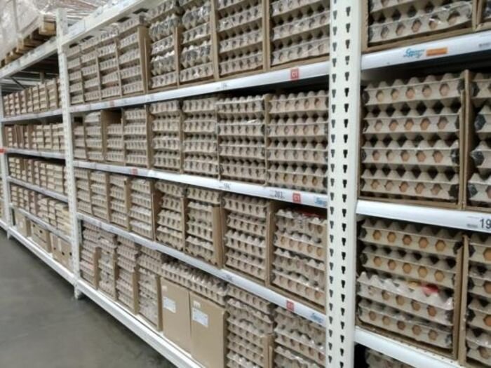 Источник фото: © «Панорама»