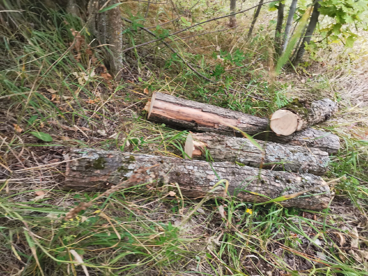 система резервного электроснабжения. резервная дизельная электростанция метро молодежная. схема подключения ибп для дома. бесперебойное электроснабжение. внутренние и наружные электрические сети.