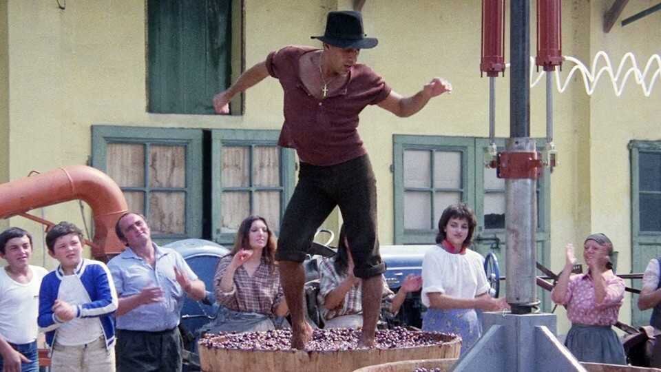 Фильм "Укрощение строптивого". 1980 год гл.роль А. Челентано. О.Мути