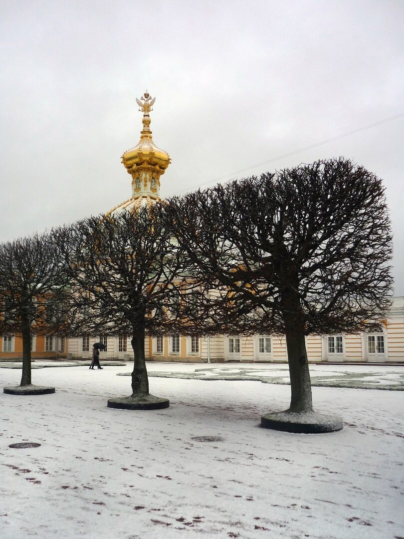 Зимой в Петергофе - своя красота