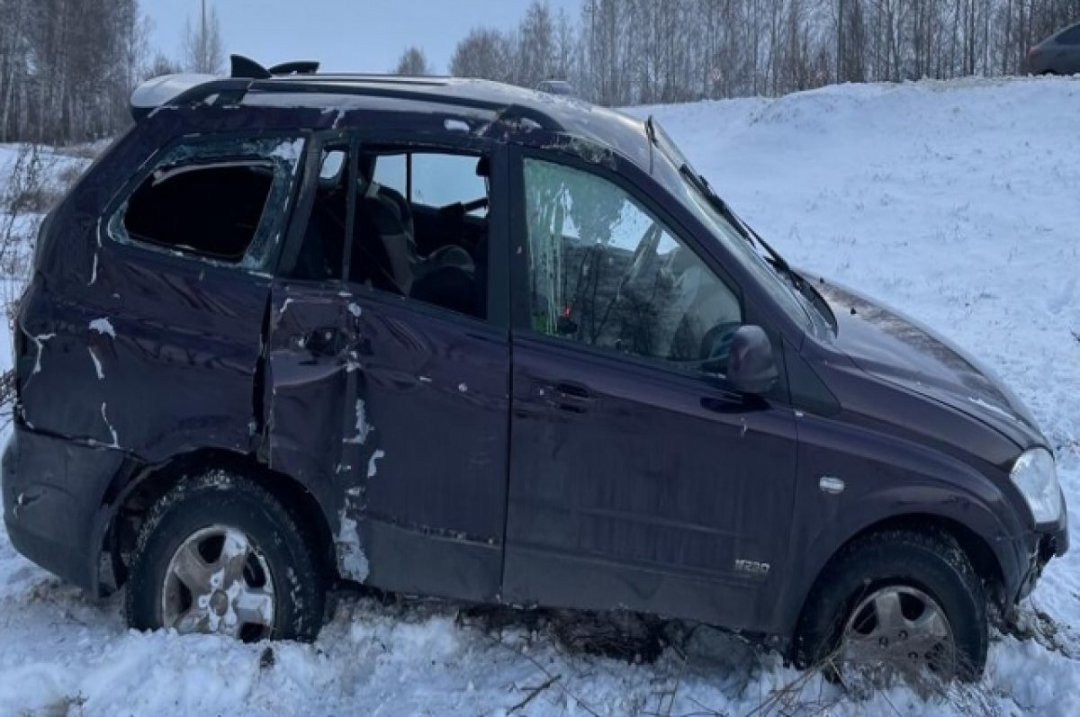    В течение зимних каникул на Тамбовщине произошли 15 ДТП