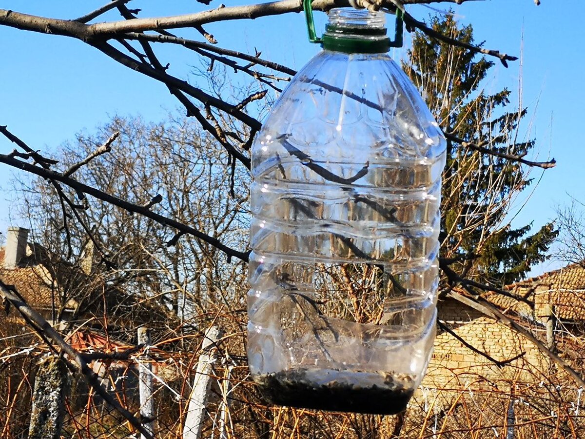 Большая пластиковая бутылка отлично подходит для кормушки