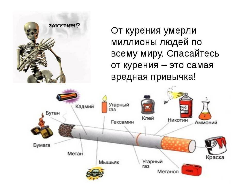 Сколько человек умерло от сигарет