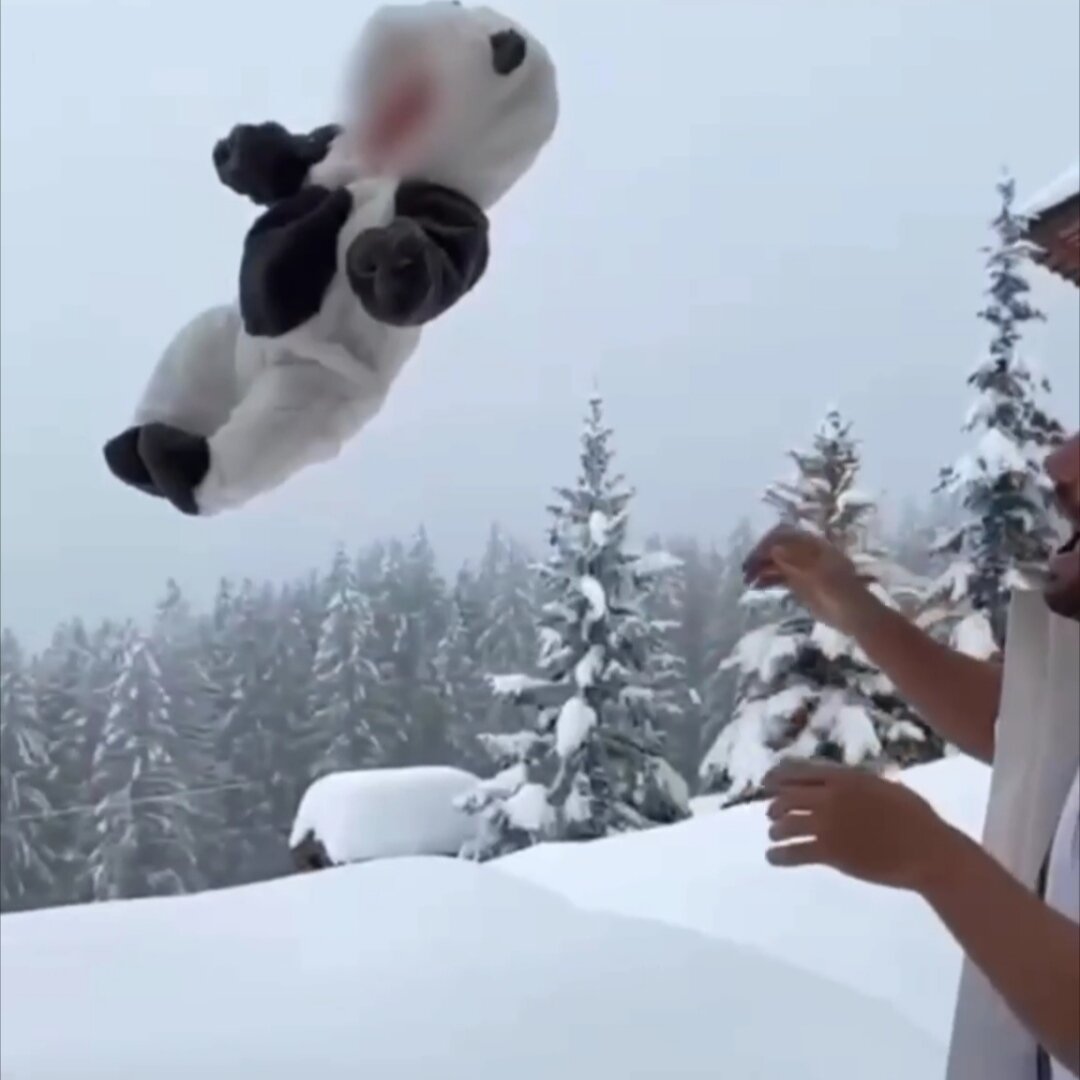 Картинка из сети 