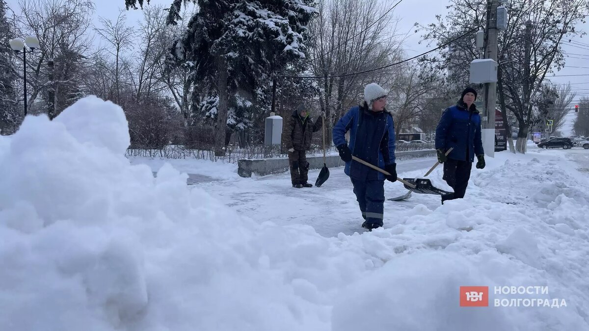 Сегодня снежная лишилась царя. Объявление расчистка дворов от снега. Объявление расчистка дворов от снега освободить от транспорта.