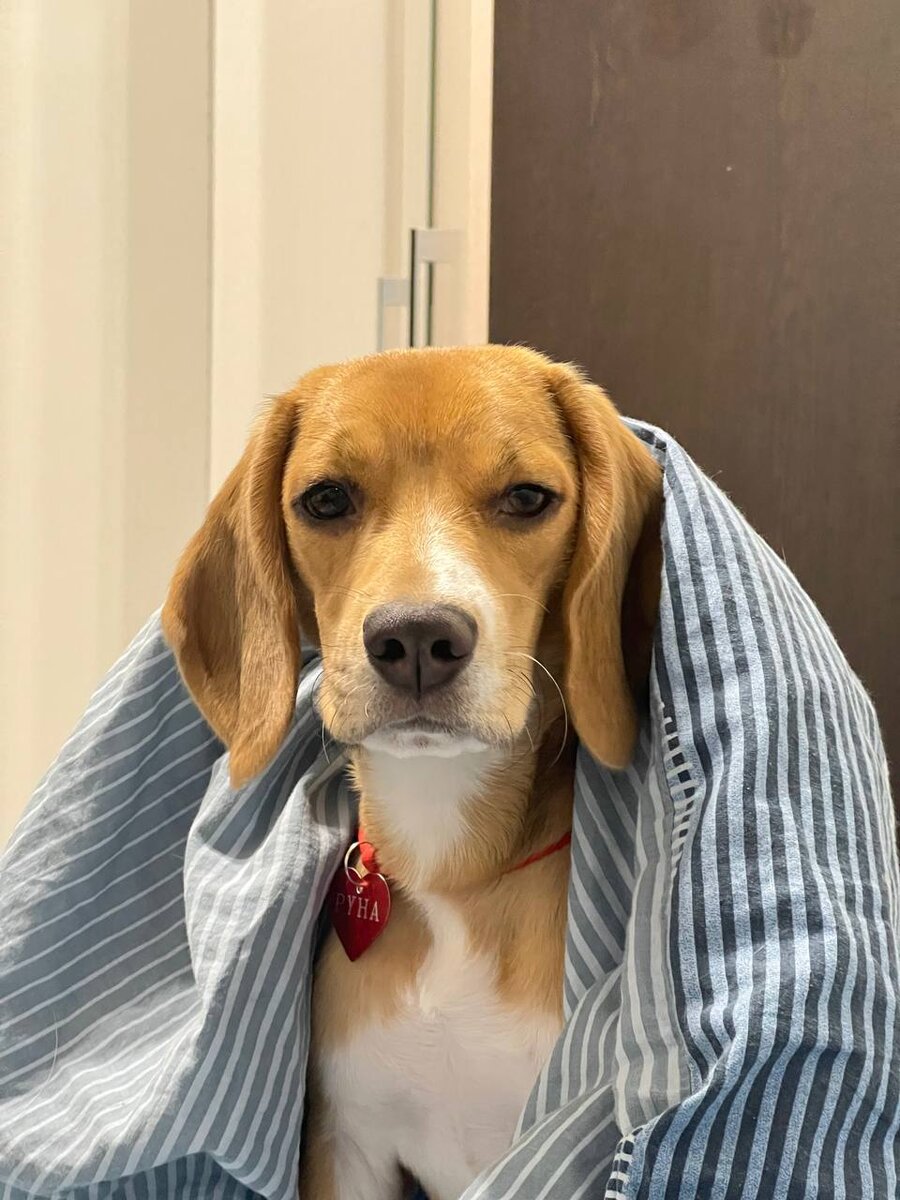 Как-то раз нам стало скучно жить...