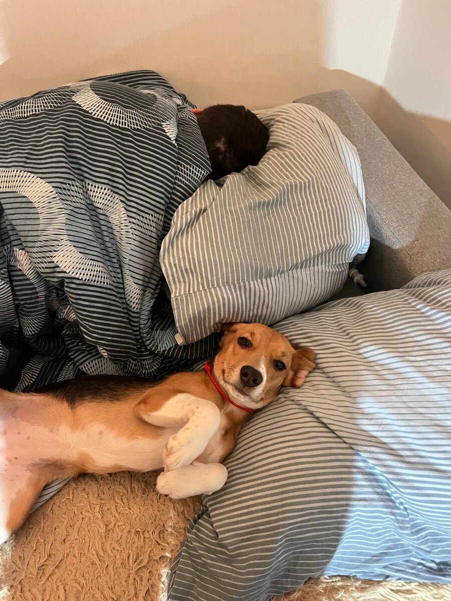 Я и есть сплошной плюс)