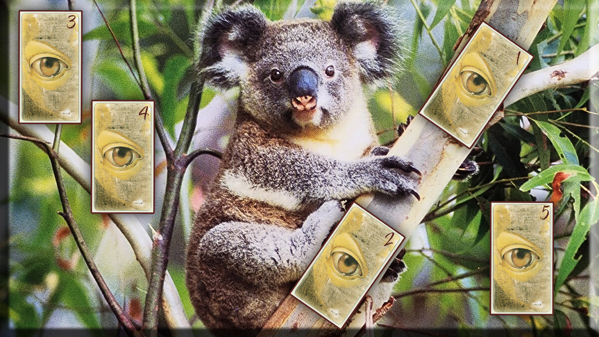 Изображение создано автором канала