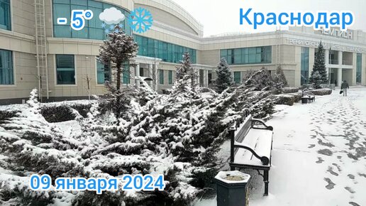 Краснодар - Снег 🌨️❄️ - 09 января 2024 г.