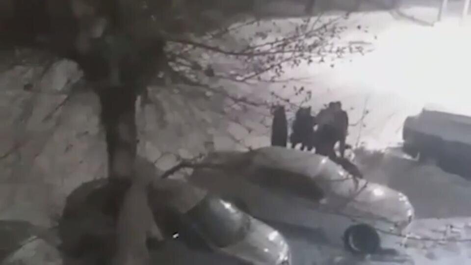 Фото: © Скриншот видео