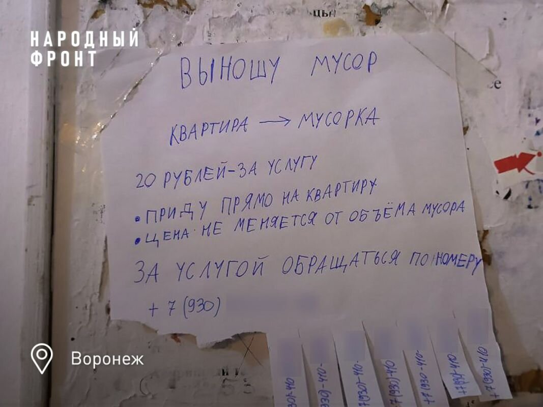    Движение «Народный фронт»