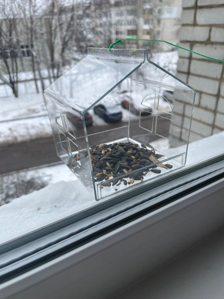 Присоски на пластиковые окна. Присоски пвх. Присоска прозрачная е015d20. Присоски на пластиковые окна. Блокиратор для шкафов secure lock 19008 happy baby.