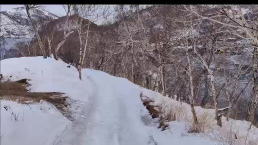 Гуляем по Никольской сопке в Петропавловске-Камчатском