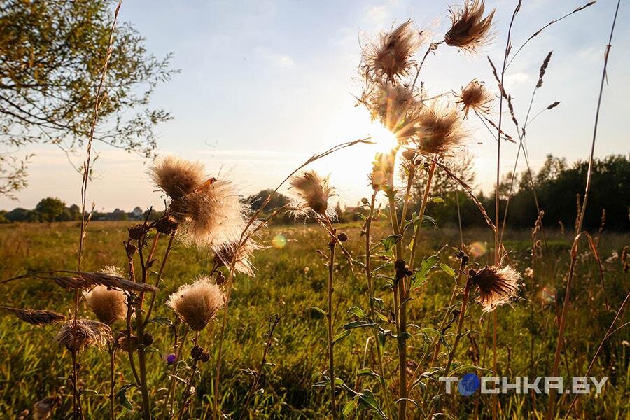    Фото: Tochka.by