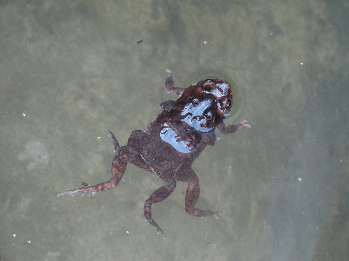 Вот они, эти наши встретившиеся персонажи