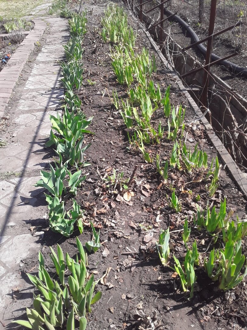 И это надо делать очень быстро, потому что всё прёт