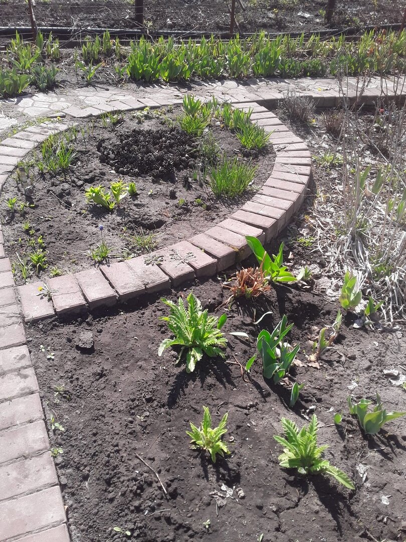 Откладывать нельзя даже на неделю - в моем случае это оказалось критичным