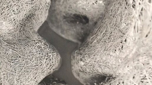 Ты самое лучшее в моей жизни. Школа готовит нас к жизни в мире которого не существует. Не нравится моя жизнь. Мудрые мысли о хвастовстве. Здоровая фигура.