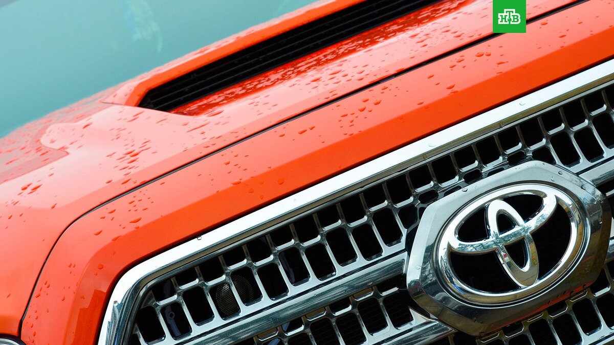    Фото: Mary B / unsplash.com