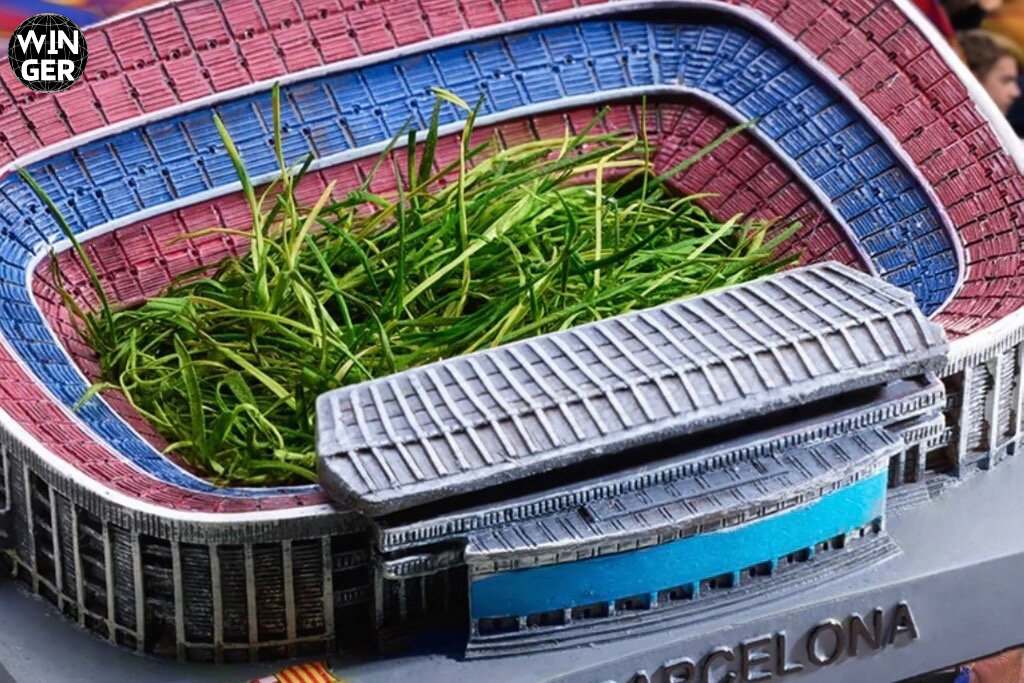 Экземпляр газона на сувенире. Стоимость от 30 евро