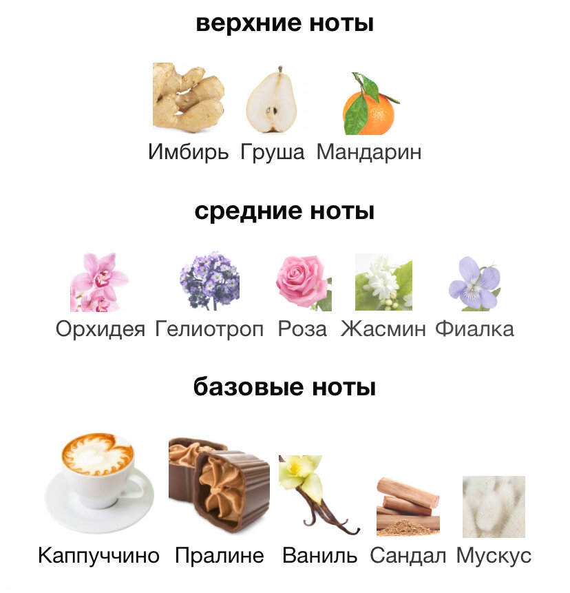 Пирамида парфюма с официального сайта Fragrantica 