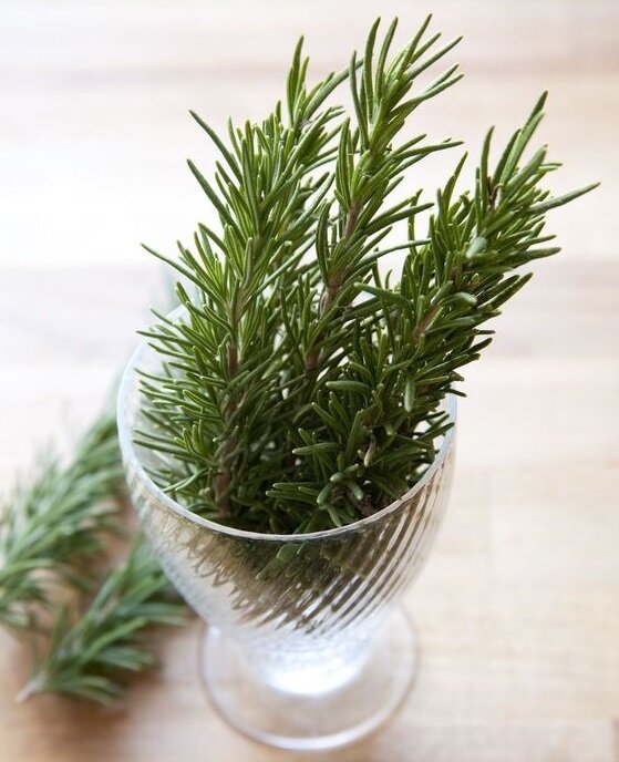 Фото из открытого источника