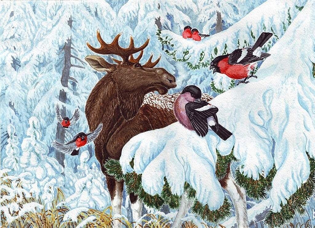 Изображение из открытых источников