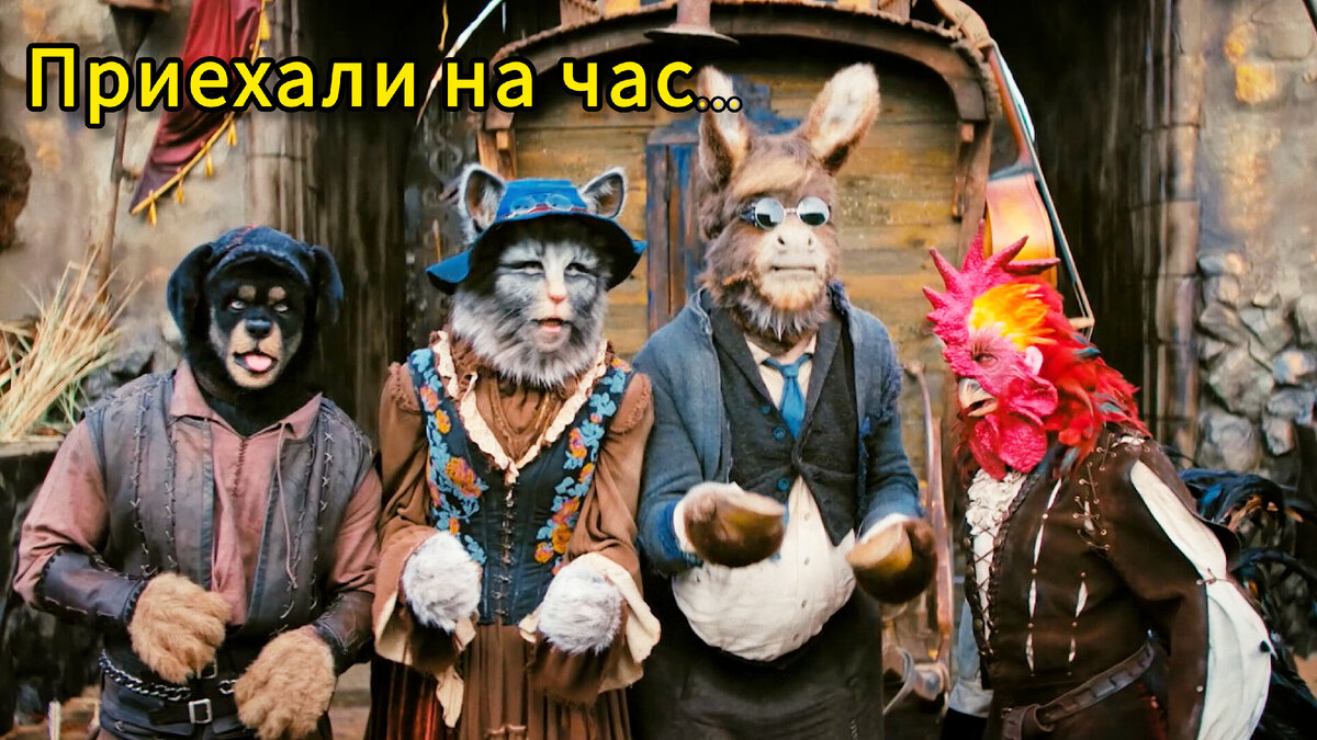 Петух знаешь