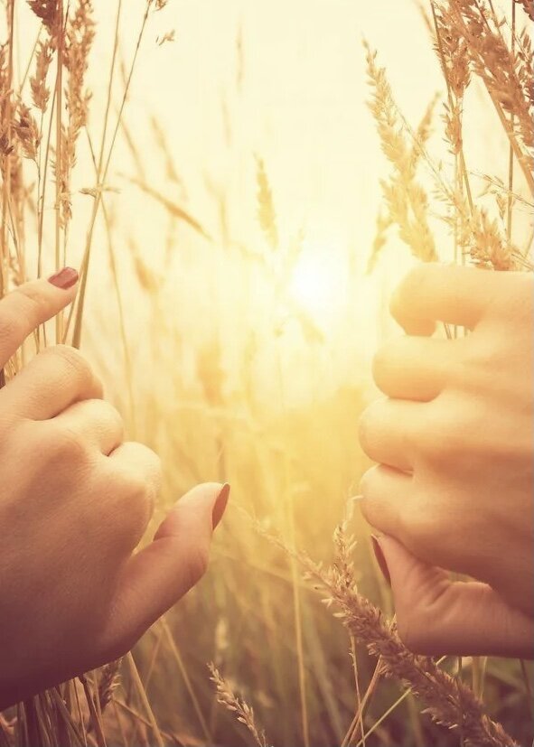 Источник фото Яндекс картинки