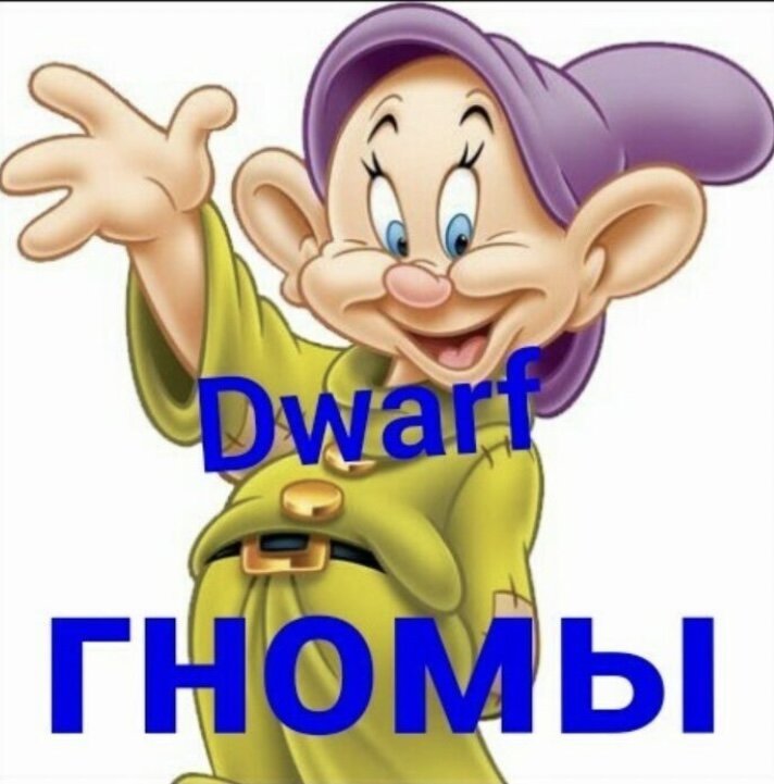 Дорогие друзья, много вопросов о проекте Гном томатный-идея о создании проекта возникла почти 10 лет назад. Три селекционера-любителя из США и Австралии решили создавать новые сорта крупноплодных и низкорослых томатов. Это страстные томатоводы, которые не только коллекционируют различные сорта, но и проводят селекционную работу над созданием новинок. На сегодняшний момент, в результате совместной деятельности и в рамках Dwarf Tomato Project, они выпустили в мир несколько десятков новых сортов.

Все сорта томатов Проекта определяются по следующим критериям:

Рост растений от 0,4 до 1,4 м.
Темная и густая листва, прочный стебель.
Помидоры всех размеров и форм, в том числе до 500 грамм.
Широкий спектр вкуса - сладкий, пряный, с кислинкой и т.п.
Цвет плодов разнообразен, есть би-колоры, полосатые, розовые, зеленоплодные, черные, красные, желтые, оранжевые и белые.
По определению Проекта данные сорта можно выращивать в ограниченном пространстве. Например, по задумке селекционеров, их можно сажать в большом горшке на балконе или, как в случае с российскими огородниками, в низких пленочных парниках или небольших теплицах.