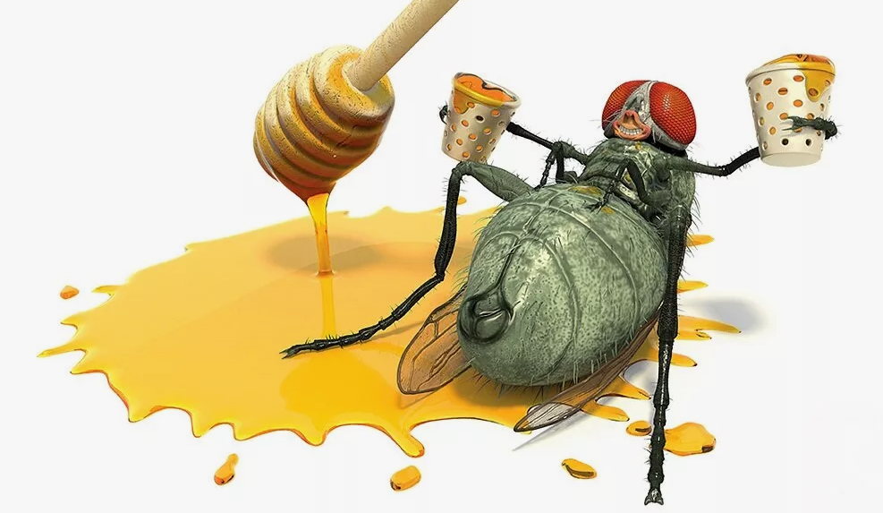 Медук. Эзоп мухи. Басня мухи Эзопа. Муха и пчела. Труд пчел.