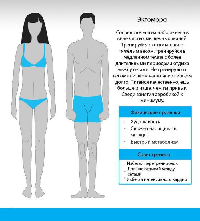 Как определить вид тела. Как определить вид тела