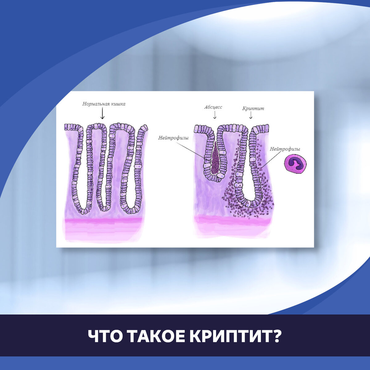 Вы точно человек?