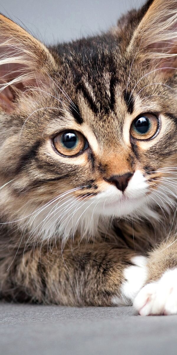 фото из общедоступной сети Интернет, просто для иллюстрации