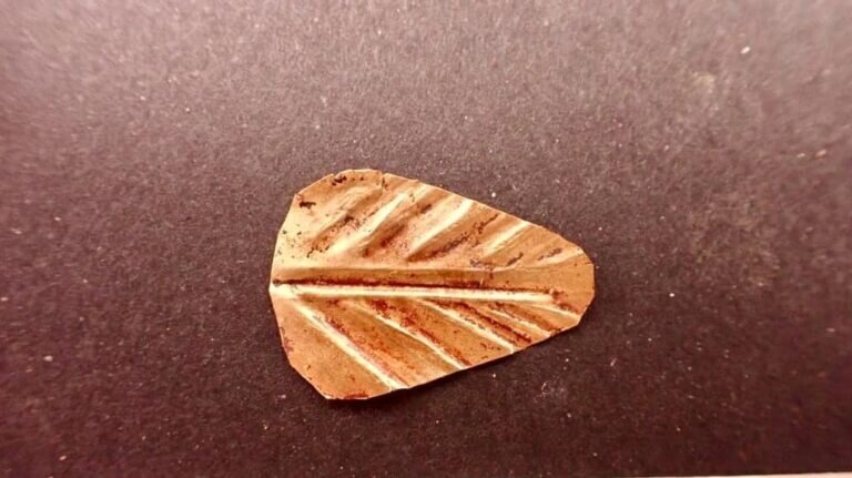    Золотой язык / © Ministry of Tourism and Antiquities of Egypt