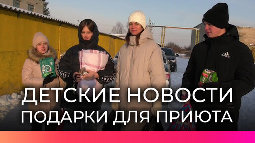 Девятиклассники создали свою «Елку желаний» для животных из приюта в Старой Руссе