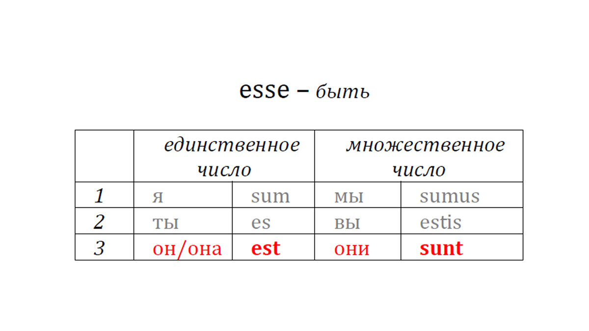 Курсы латыни