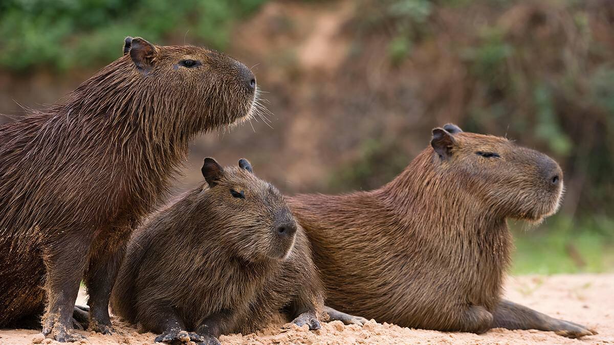    Фото: Shutterstock