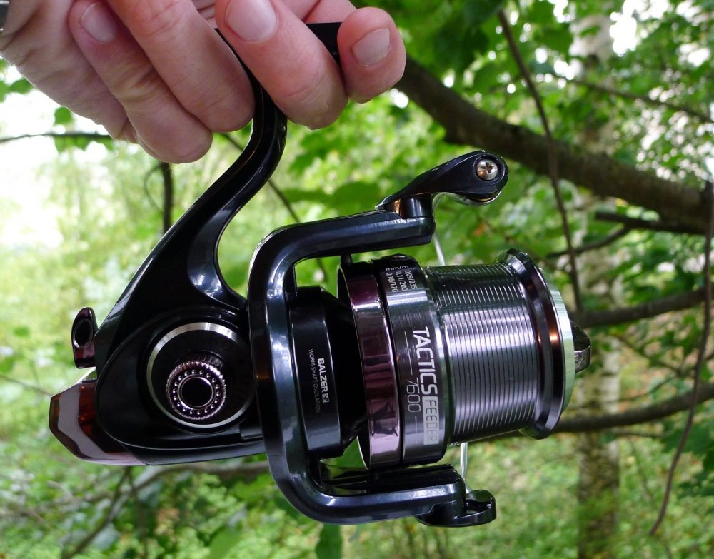 Фото с сайта: https://sazanya-bukhta.ru/wp-content/uploads/2020/09/Fidernaya-katushka.jpg