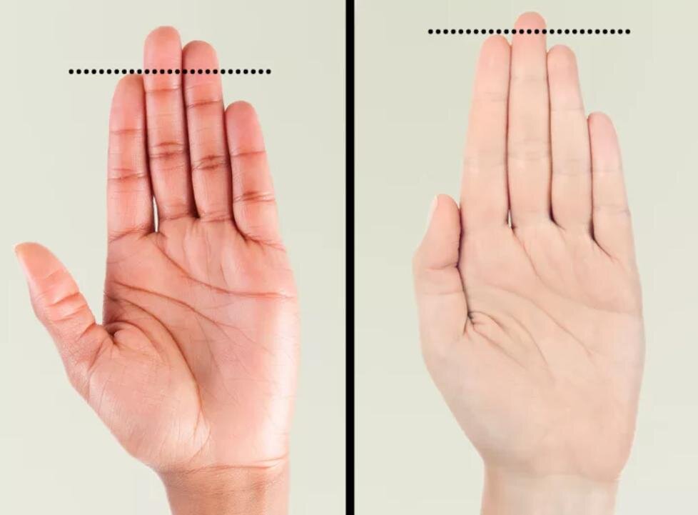 Длинный указательный палец.