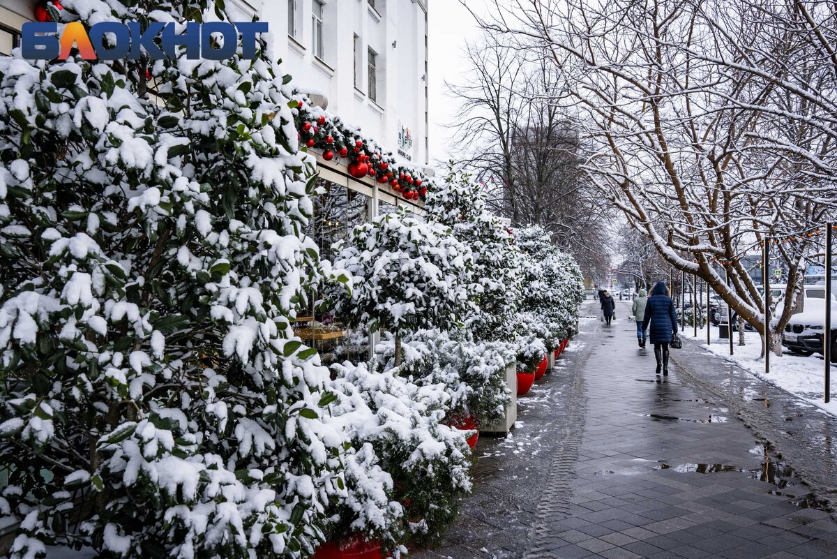 Гололёд без песка и зимняя красота: фото последствий первого снегопада в  Краснодаре в 2024 году | Блокнот Краснодар | Дзен