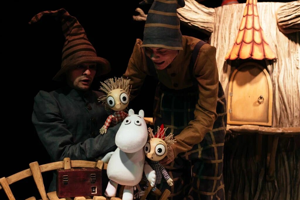 Карлссон хаус