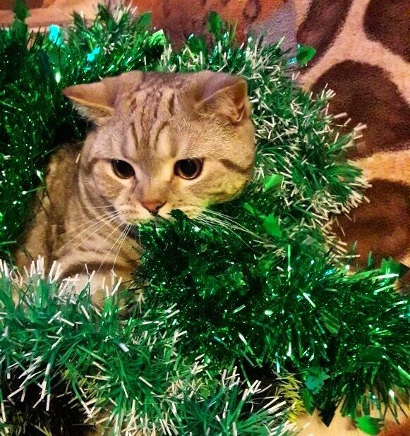 Фото автора канала.