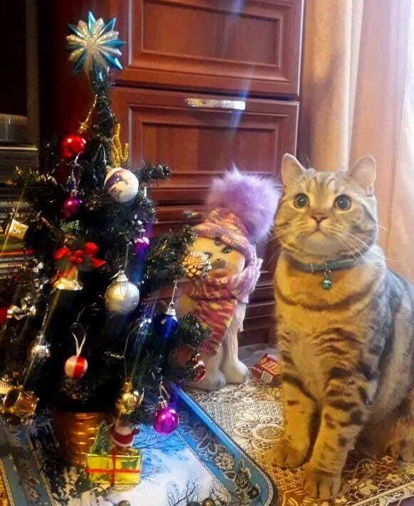 Фото автора канала.