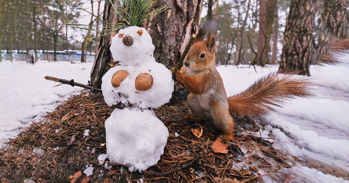 Картинка спасение зайчика