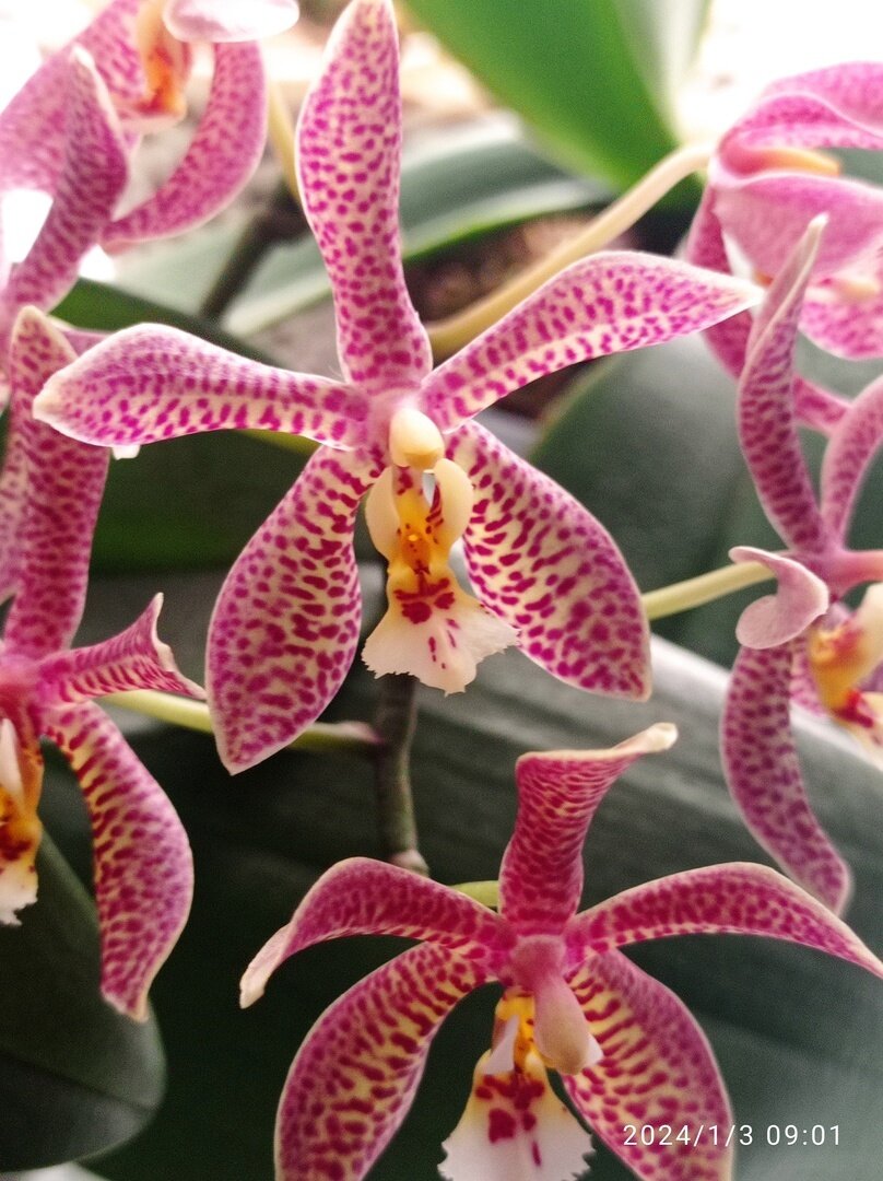 Добавьте описание