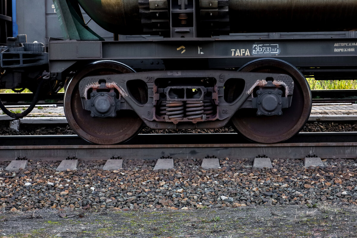 ФОТО: ELENA MAYOROVA/GLOBALLOOKPRESS