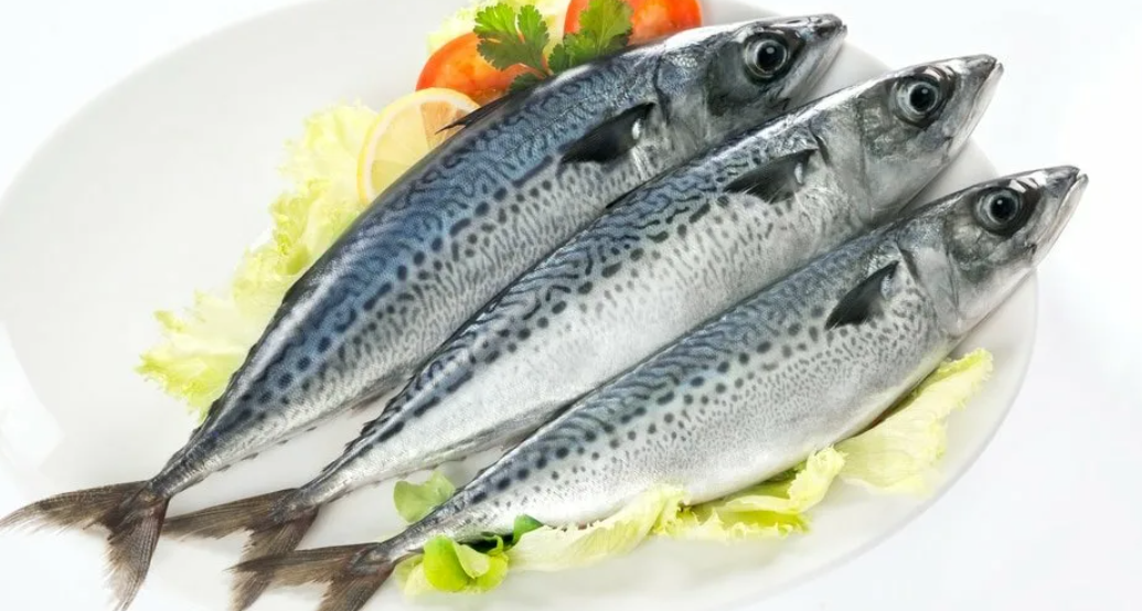 Чем атлантическая скумбрия отличается от тихоокеанской и какая вкуснее ...