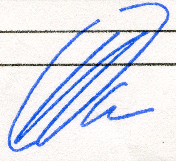 Рис. 1. Изображение оттиска факсимиле, изготовленного по фотополимерной технологии