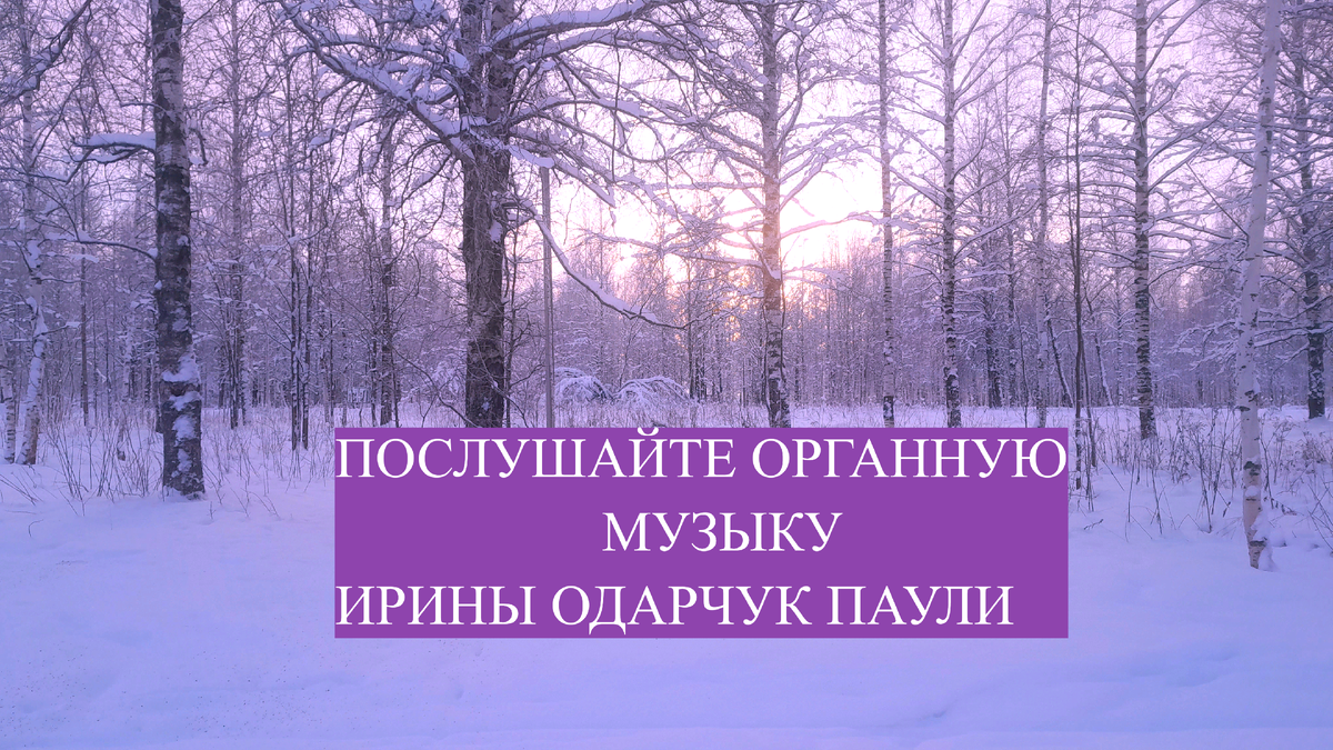Превью Органная музыка Ирины Одарчук Паули